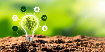 Leonisa’s Commitment to Sustainability Through Eco-Friendly Clothing