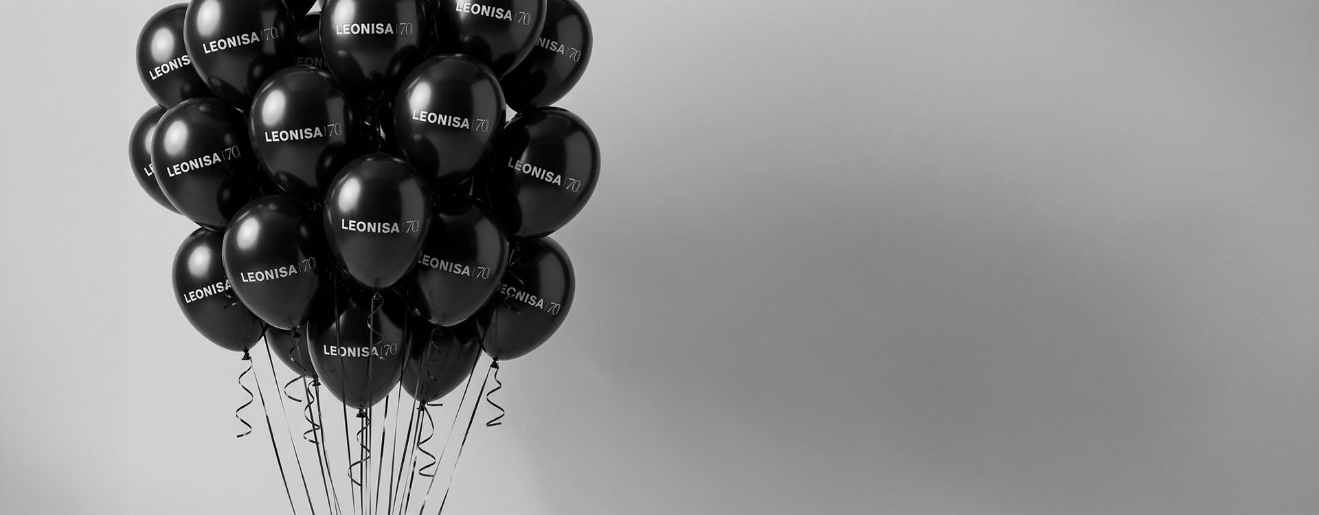 Sale at Leonisa
